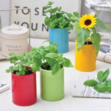 Can + Plant Ceramic Can Plant Growing Kit