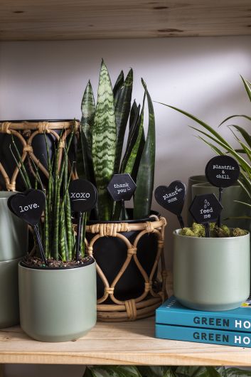 Friendly Phrases Plant Stick