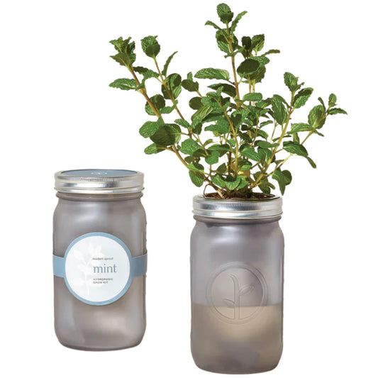 Garden Jars