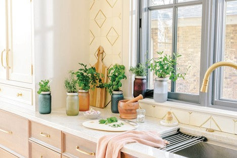 Gardening & House Plants