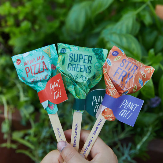 Culinary Seed Lollipop