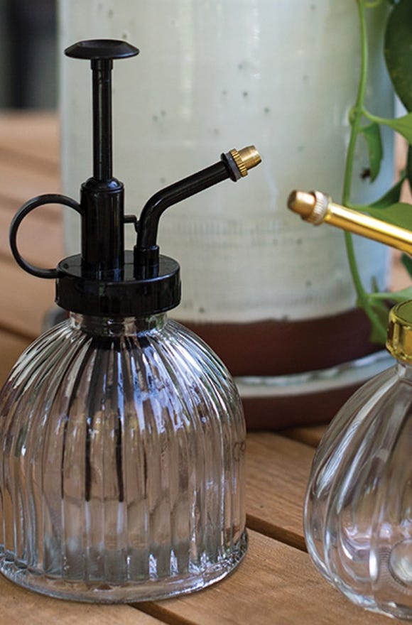 Vintage Clear Glass Bottle Plant Mister