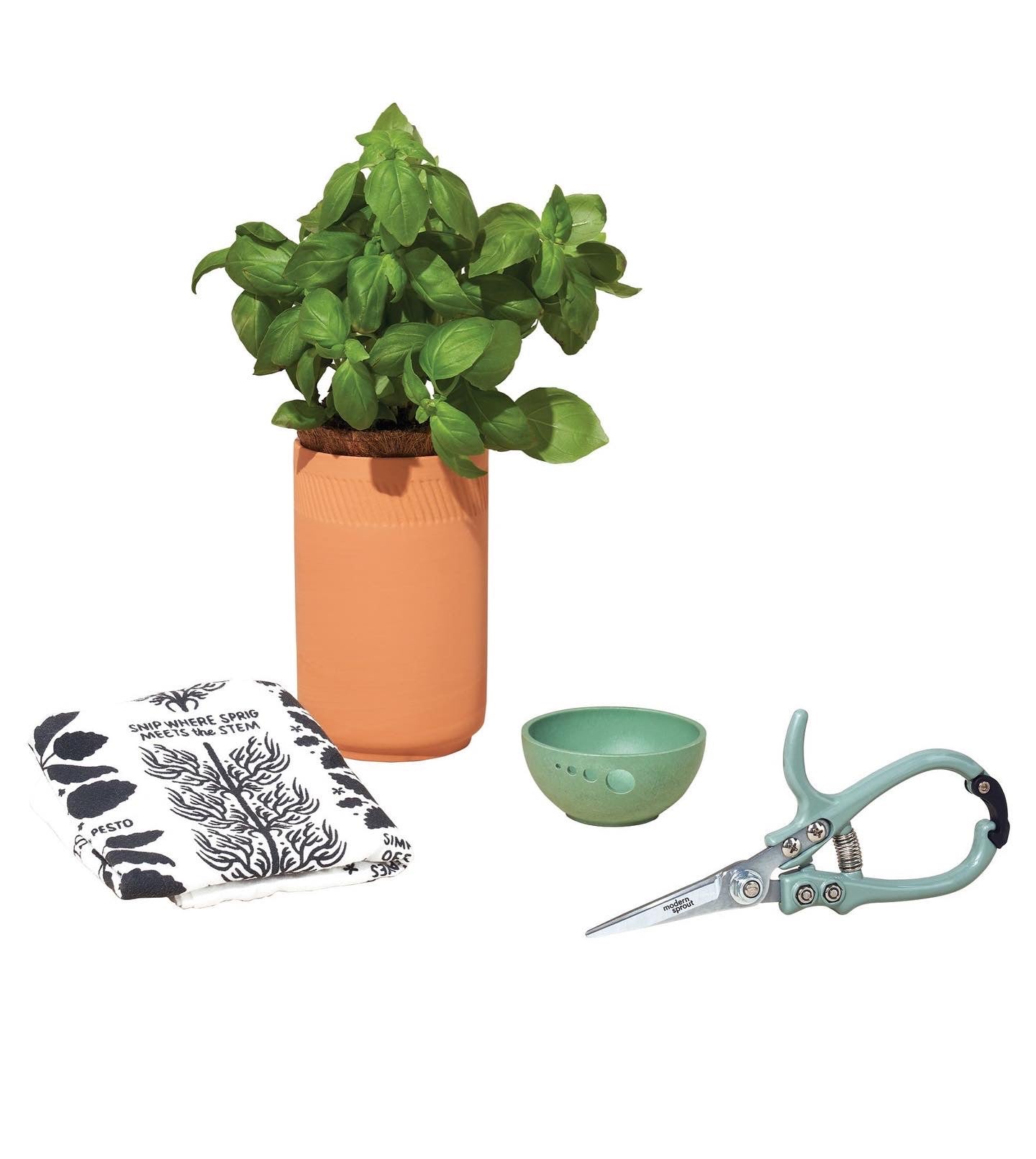 Growing Gourmet - Botanical Box Gift Set