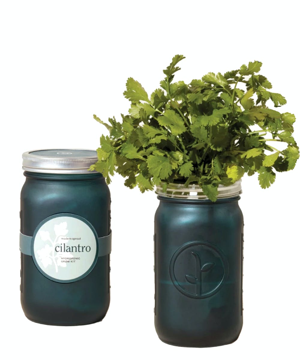 Garden Jars