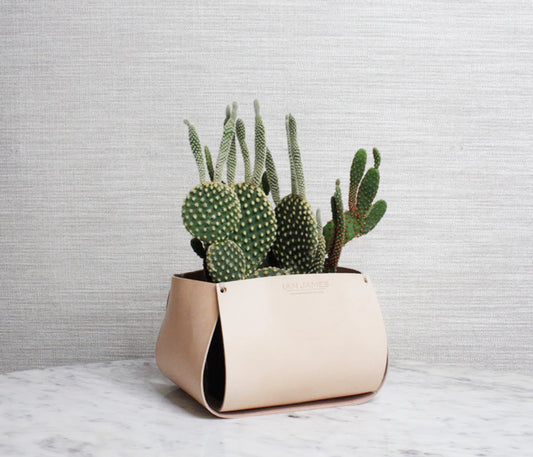 6" Ian James Leather Plant Sheath